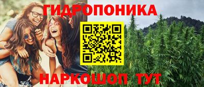 mdpv Гатчина