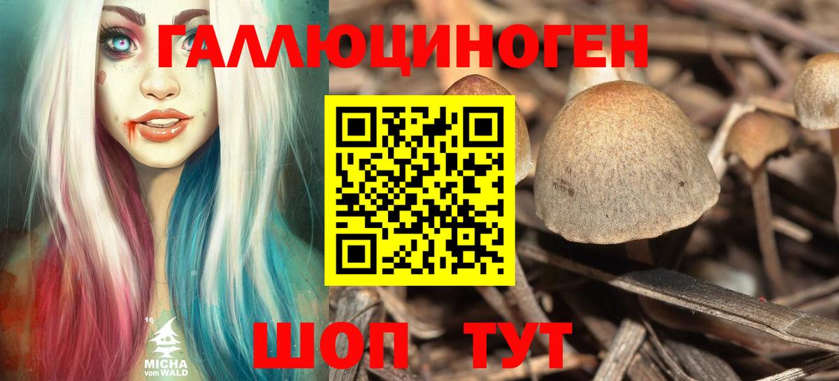 Псилоцибиновые грибы MAGIC MUSHROOMS  Галлюциногенные грибы ЛСД  Буйнакск  Вход с VPN 